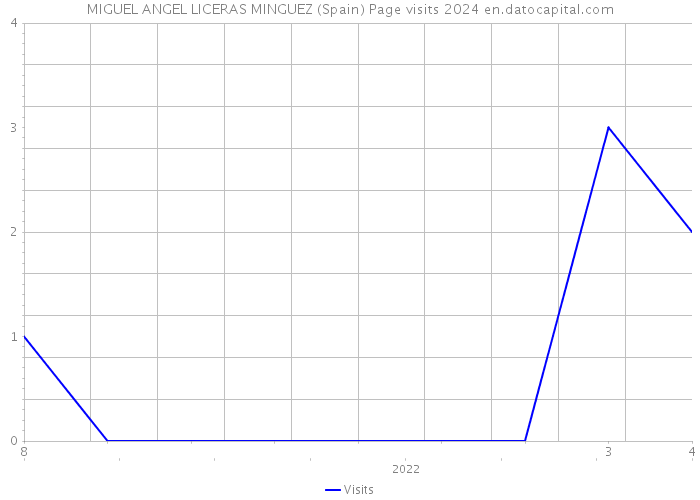 MIGUEL ANGEL LICERAS MINGUEZ (Spain) Page visits 2024 