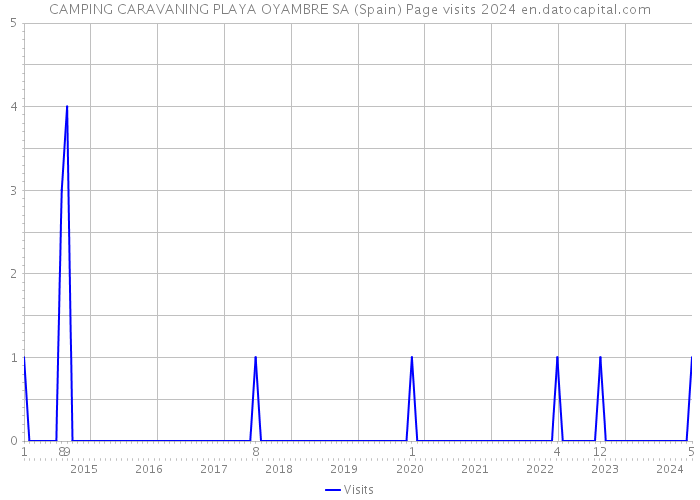 CAMPING CARAVANING PLAYA OYAMBRE SA (Spain) Page visits 2024 