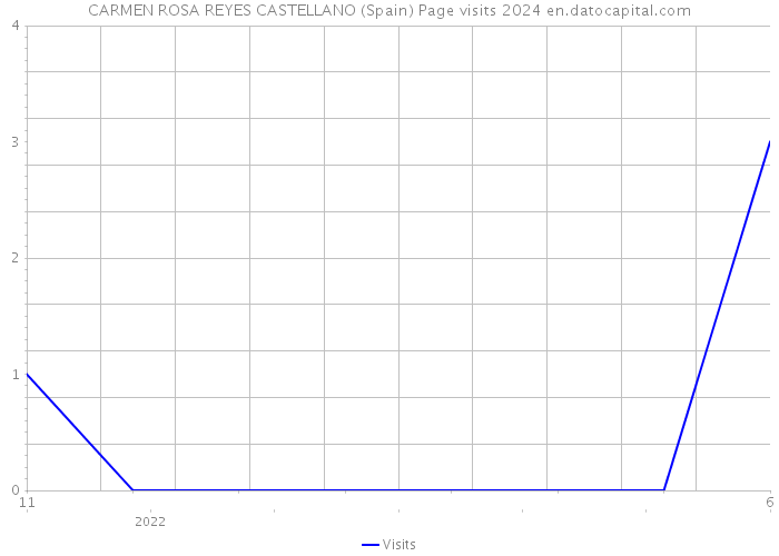 CARMEN ROSA REYES CASTELLANO (Spain) Page visits 2024 