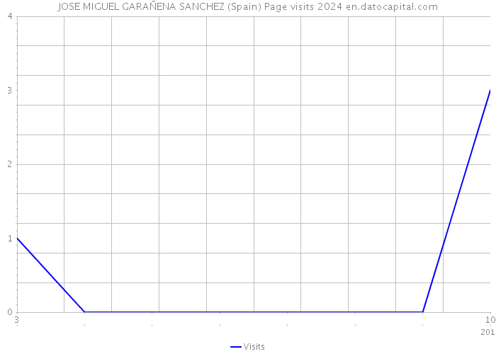 JOSE MIGUEL GARAÑENA SANCHEZ (Spain) Page visits 2024 