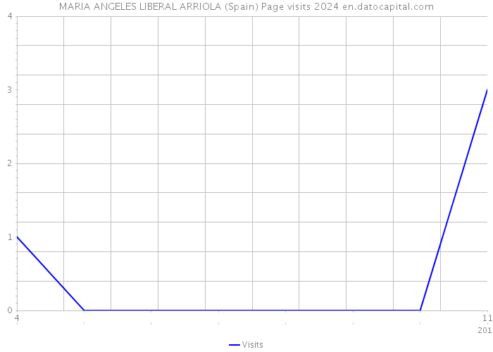 MARIA ANGELES LIBERAL ARRIOLA (Spain) Page visits 2024 