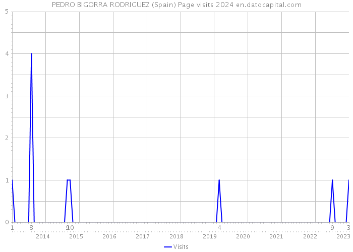 PEDRO BIGORRA RODRIGUEZ (Spain) Page visits 2024 