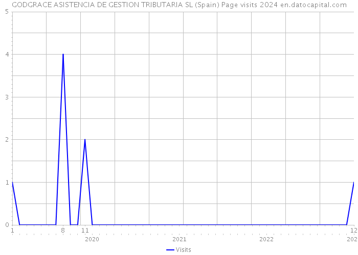 GODGRACE ASISTENCIA DE GESTION TRIBUTARIA SL (Spain) Page visits 2024 
