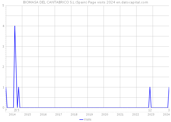 BIOMASA DEL CANTABRICO S.L (Spain) Page visits 2024 