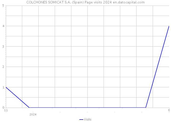 COLCHONES SOMICAT S.A. (Spain) Page visits 2024 