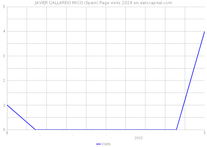 JAVIER GALLARDO MICO (Spain) Page visits 2024 