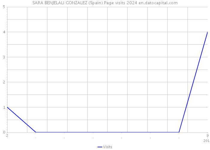 SARA BENJELALI GONZALEZ (Spain) Page visits 2024 