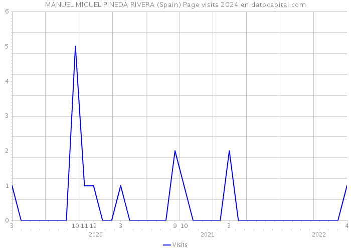 MANUEL MIGUEL PINEDA RIVERA (Spain) Page visits 2024 
