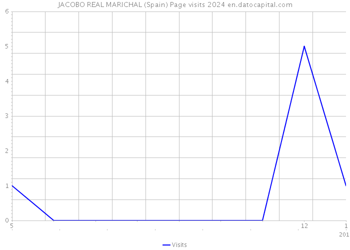 JACOBO REAL MARICHAL (Spain) Page visits 2024 