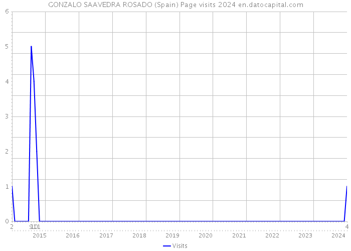 GONZALO SAAVEDRA ROSADO (Spain) Page visits 2024 