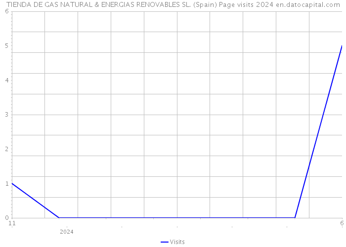 TIENDA DE GAS NATURAL & ENERGIAS RENOVABLES SL. (Spain) Page visits 2024 