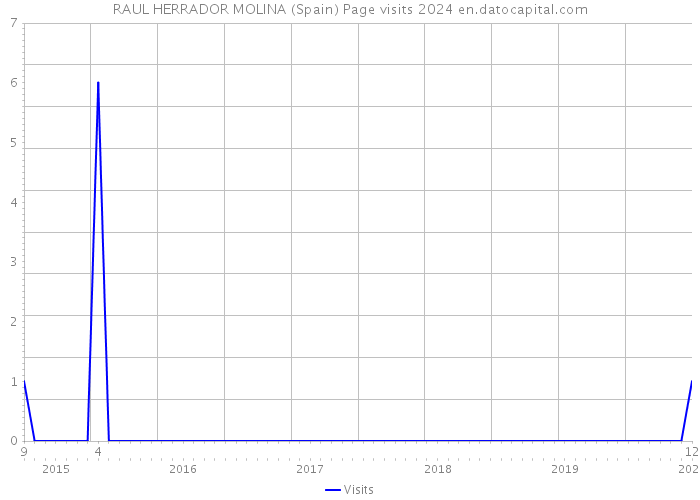 RAUL HERRADOR MOLINA (Spain) Page visits 2024 