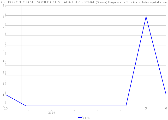 GRUPO KONECTANET SOCIEDAD LIMITADA UNIPERSONAL (Spain) Page visits 2024 