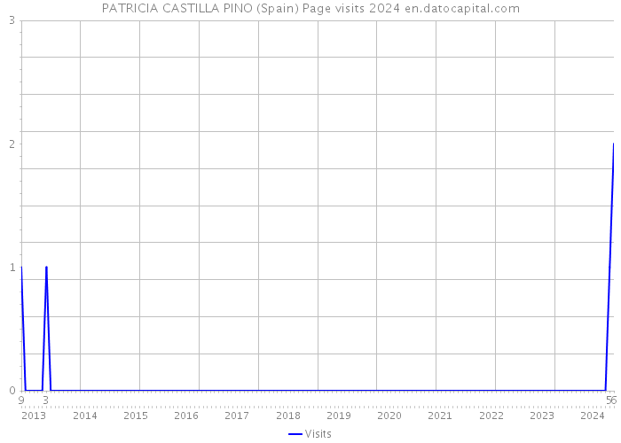 PATRICIA CASTILLA PINO (Spain) Page visits 2024 