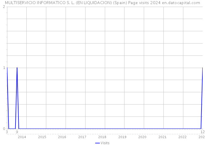 MULTISERVICIO INFORMATICO S. L. (EN LIQUIDACION) (Spain) Page visits 2024 
