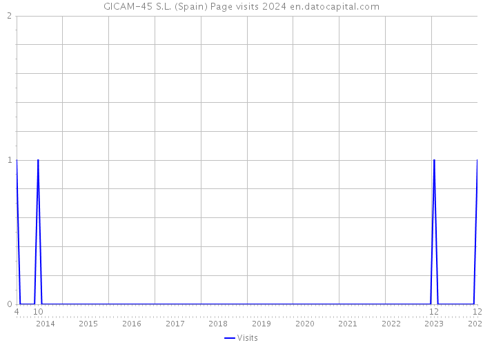 GICAM-45 S.L. (Spain) Page visits 2024 