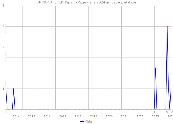 FUNCIONA, S.C.P. (Spain) Page visits 2024 