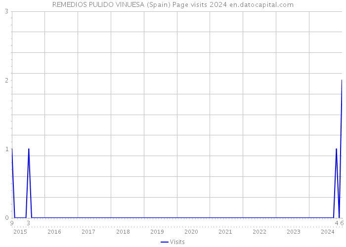 REMEDIOS PULIDO VINUESA (Spain) Page visits 2024 