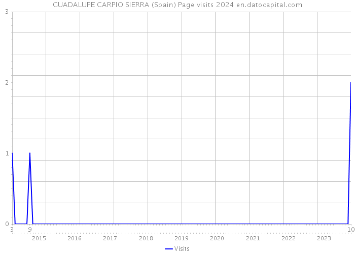 GUADALUPE CARPIO SIERRA (Spain) Page visits 2024 