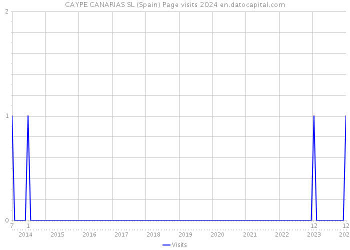 CAYPE CANARIAS SL (Spain) Page visits 2024 