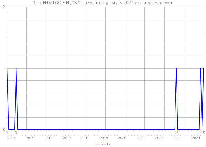 RUIZ HIDALGO E HIJOS S.L. (Spain) Page visits 2024 