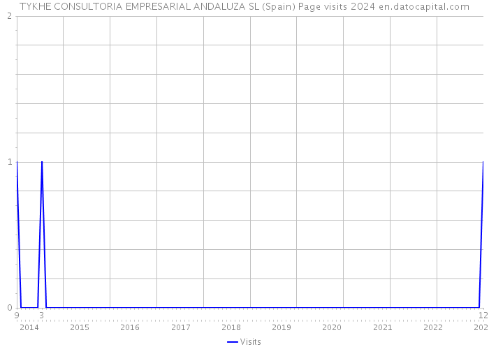 TYKHE CONSULTORIA EMPRESARIAL ANDALUZA SL (Spain) Page visits 2024 