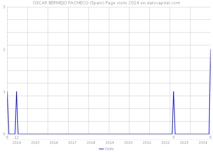 OSCAR BERMEJO PACHECO (Spain) Page visits 2024 