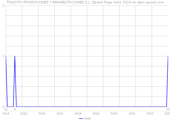 TRADITIO PROMOCIONES Y REHABILITACIONES S.L. (Spain) Page visits 2024 