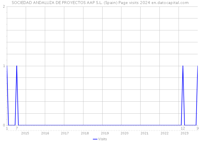 SOCIEDAD ANDALUZA DE PROYECTOS AAP S.L. (Spain) Page visits 2024 