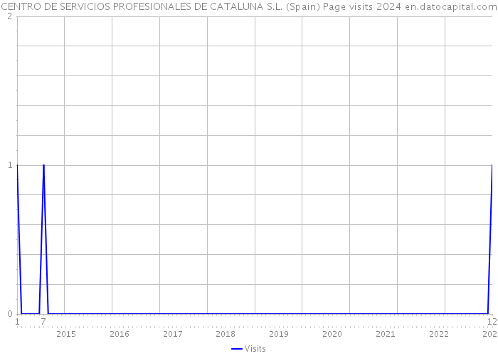 CENTRO DE SERVICIOS PROFESIONALES DE CATALUNA S.L. (Spain) Page visits 2024 