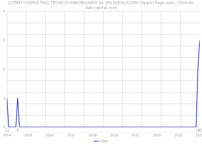 COTEFI CONSULTING TECNICO-INMOBILIARIO SA (EN DISOLUCION) (Spain) Page visits 2024 