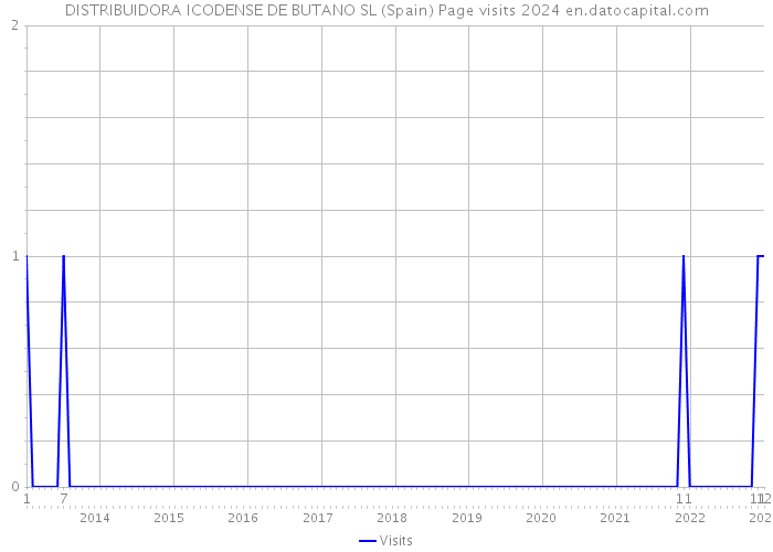 DISTRIBUIDORA ICODENSE DE BUTANO SL (Spain) Page visits 2024 