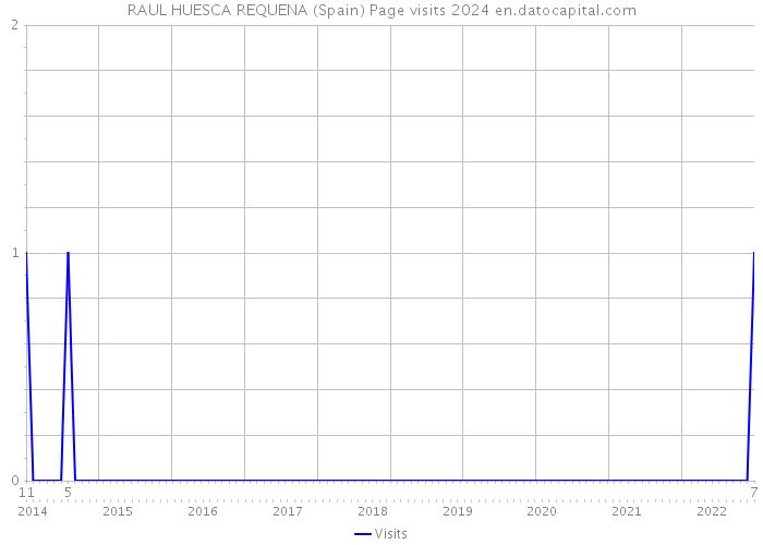 RAUL HUESCA REQUENA (Spain) Page visits 2024 