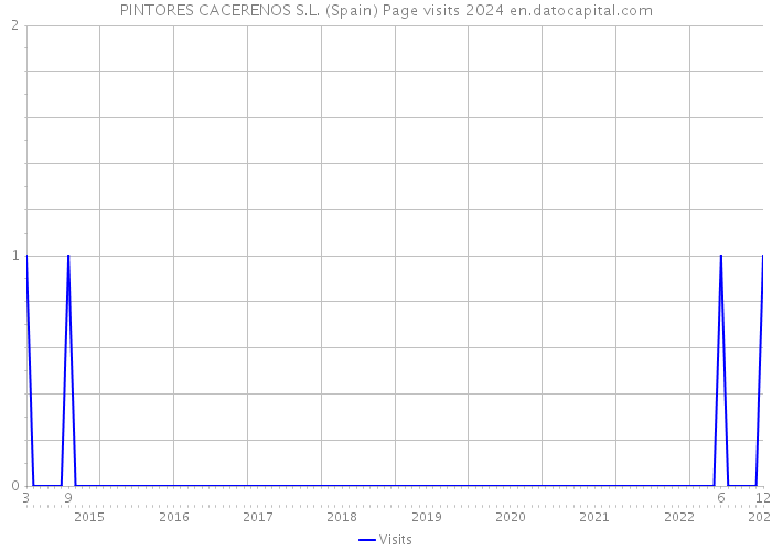 PINTORES CACERENOS S.L. (Spain) Page visits 2024 