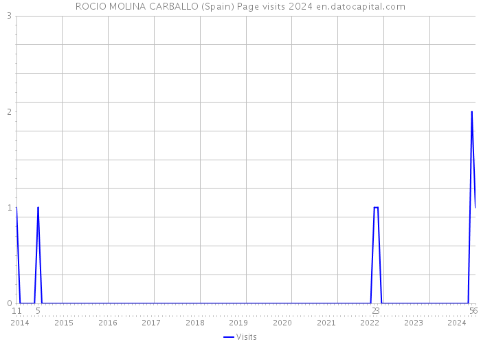 ROCIO MOLINA CARBALLO (Spain) Page visits 2024 