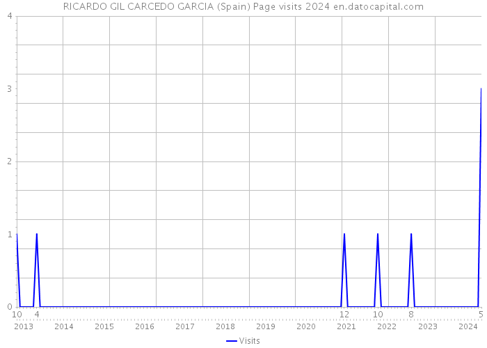 RICARDO GIL CARCEDO GARCIA (Spain) Page visits 2024 