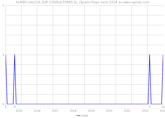 AUREN GALICIA SUR CONSULTORES SL. (Spain) Page visits 2024 