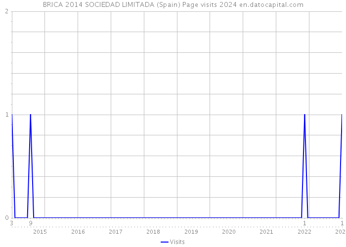 BRICA 2014 SOCIEDAD LIMITADA (Spain) Page visits 2024 