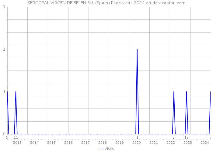 SERCOPAL VIRGEN DE BELEN SLL (Spain) Page visits 2024 