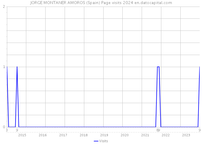 JORGE MONTANER AMOROS (Spain) Page visits 2024 