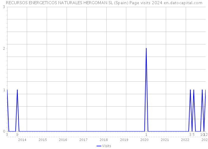 RECURSOS ENERGETICOS NATURALES HERGOMAN SL (Spain) Page visits 2024 