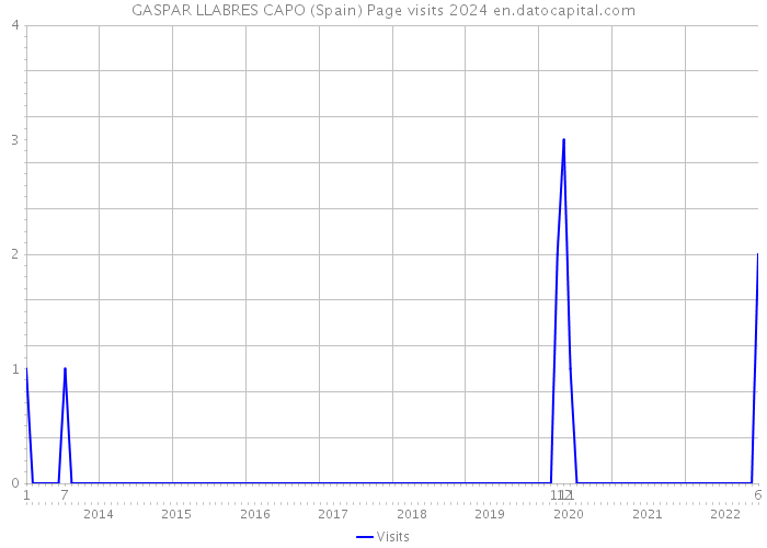 GASPAR LLABRES CAPO (Spain) Page visits 2024 
