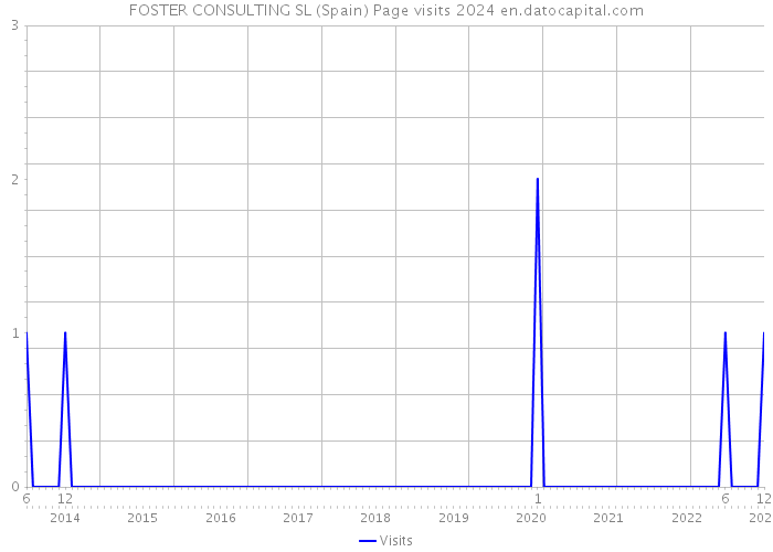 FOSTER CONSULTING SL (Spain) Page visits 2024 