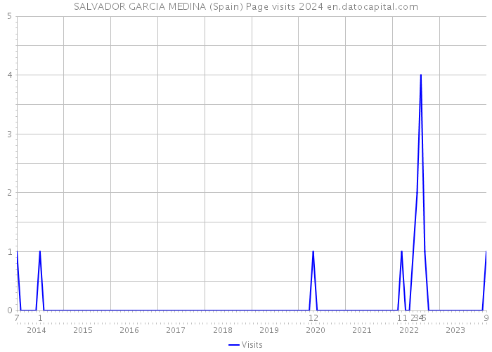 SALVADOR GARCIA MEDINA (Spain) Page visits 2024 