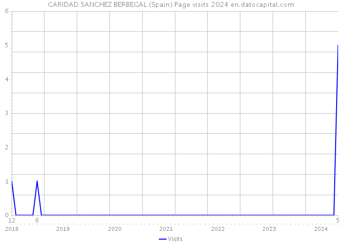 CARIDAD SANCHEZ BERBEGAL (Spain) Page visits 2024 
