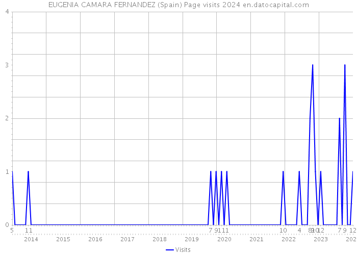 EUGENIA CAMARA FERNANDEZ (Spain) Page visits 2024 