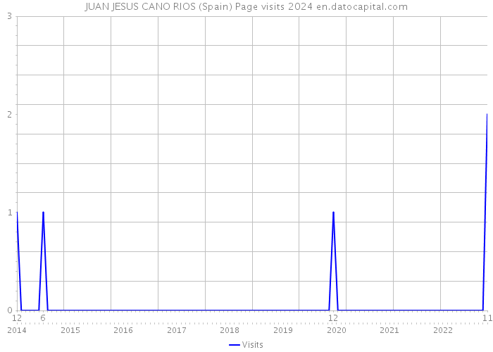 JUAN JESUS CANO RIOS (Spain) Page visits 2024 