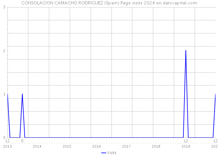 CONSOLACION CAMACHO RODRIGUEZ (Spain) Page visits 2024 