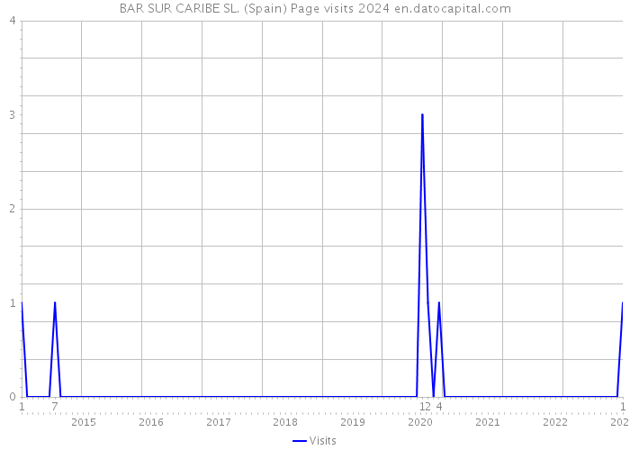 BAR SUR CARIBE SL. (Spain) Page visits 2024 
