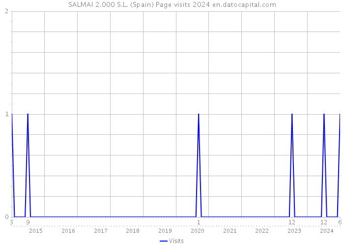 SALMAI 2.000 S.L. (Spain) Page visits 2024 